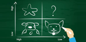 Analýza podnikového portfolia - Bostonská matice